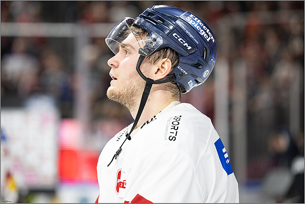 PENNY DEL; Koelner Haie-Duesseldorfer EG ; Koeln, 16.02.2025